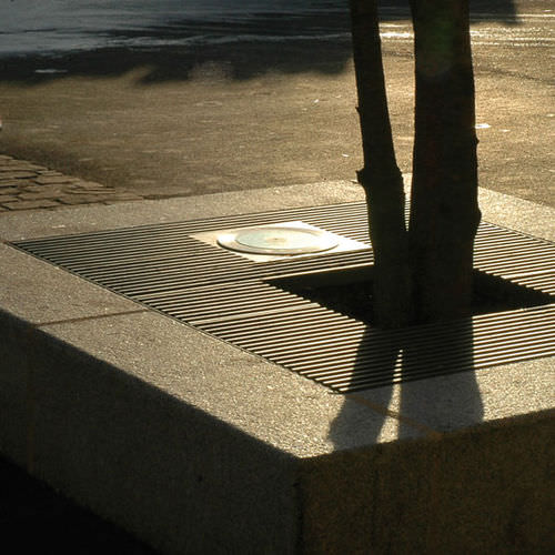 Quadratisches Baumgitter - BALTIMORE - SPOT - AREA - Metall