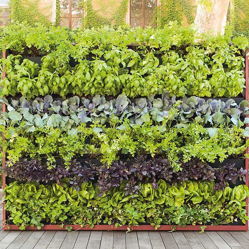 Spalier aus lackiertem Metall - GREENERY - PAOLA LENTI