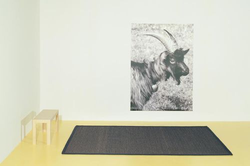 Moderner Teppich - CAPRA - Ruckstuhl AG - Streifenmuster / einfarbig / Sisal