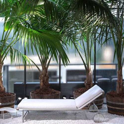 Moderne Sonnenliege - SALE - Living Divani - Stoff / Edelstahl / für Garten