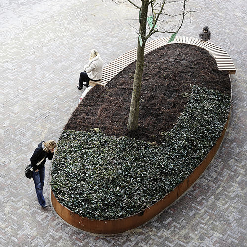 Laubholz-Pflanzkübel - ROUGH&READY OVAL TREE ISLES - Streetlife - Stahl / oval / maßgefertigt