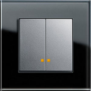 Drucktaster-Schalter - CONTROL SWITCH  - Gira - Einbau / doppelt / modern