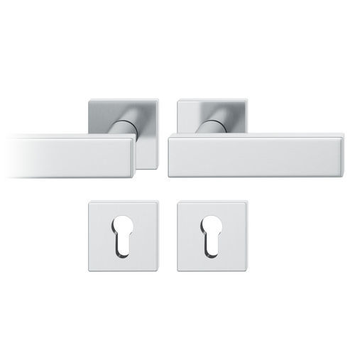 Türgriff - 10 1003 - Franz Schneider Brakel FSB - Aluminium / Edelstahl / modern