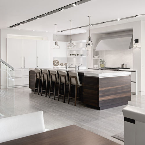 Moderne Küche - CLASSIC : S2 + SE + BEAUXARTS - SIEMATIC - Edelstahl / lackiertes Holz / Holzfurnier