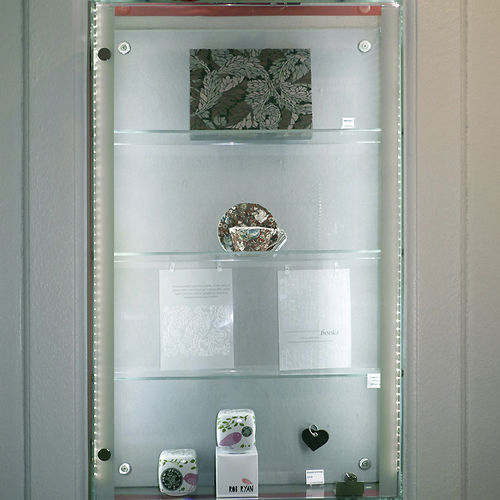 Moderne Vitrine - WFG002 - Shopkit - wandmontiert / Glas / Edelstahl