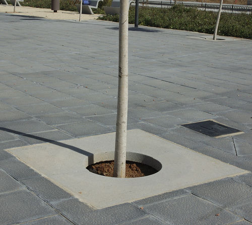 Quadratisches Baumgitter - ICARIA - Escofet - Beton