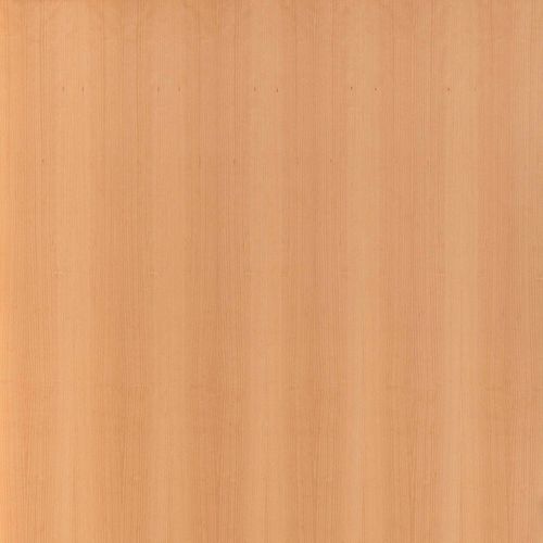 Wandmontierte Vertäfelung - BEECH - PARKLEX International - Holz / Laminat / texturiert