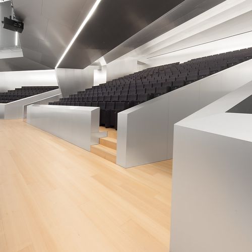Mehrschichtparkett - BEECH  - PARKLEX International - Schiffsbrücke / geölt / glatt