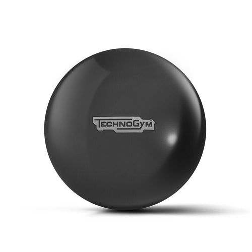 Großformatiger Pilatesball - WELLNESS - TECHNOGYM