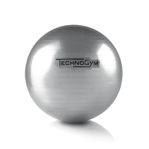 Großformatiger Pilatesball - WELLNESS HOME - TECHNOGYM