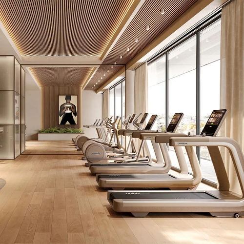 Programmierbares Laufband - SAND STONE - TECHNOGYM - für Gewerbegebrauch / für Privatgebrauch