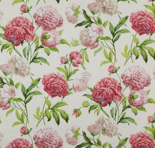 Möbelstoff - SUMMER PALACE : PEONIES - Colefax & Fowler - Blumenmotive / Baumwolle
