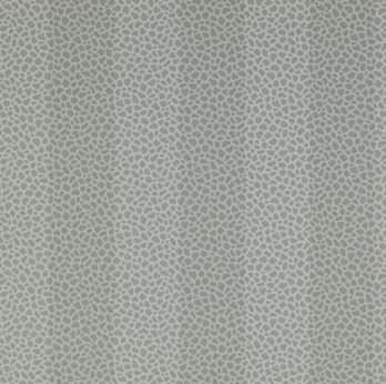 Klassische Tapete - WILDER STRIPE - Colefax & Fowler - Streifenmuster