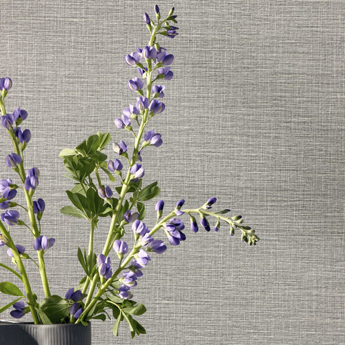 Innenwandverkleidung - HEADLINE - Knoll Textiles - Olefin / Thermoplast / Vlies