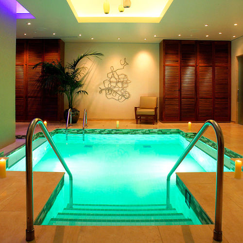 Hot-Tub-Schwimmbecken / für mehrere Personen - VITALITY  - Bradford Products LLC - Edelstahl / maßgefertigt / für Gewerbegebrauch