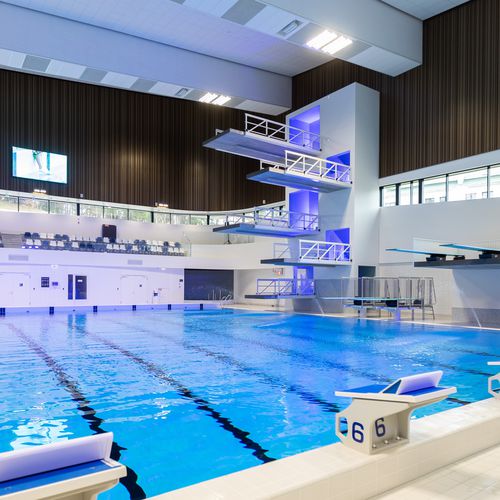 Wettkampfbecken mit Sprungbrett - Myrtha Pools - für Außenbereich / für den Innenraum / für sportliche Aktivität