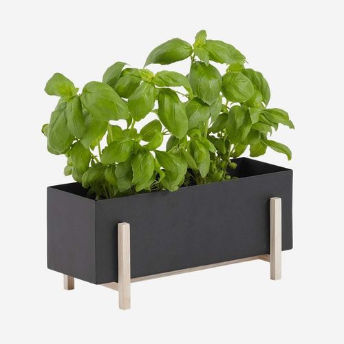 Metall-Pflanzgefäß - BOTANIC - DESIGN HOUSE STOCKHOLM - Esche / freistehend / rechteckig