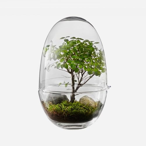 Moderne Vase - GROW - DESIGN HOUSE STOCKHOLM - Glas / handgefertigt