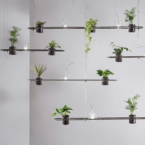 Hängelampe - PLANTICUS - Siru Lighting - Eisen / organisches Design / mit Kabel