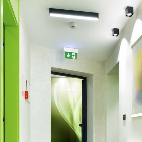 Deckenmontierte Notbeleuchtung - POXAR SN-F - LENA LIGHTING - wandmontiert / rechteckig / LED