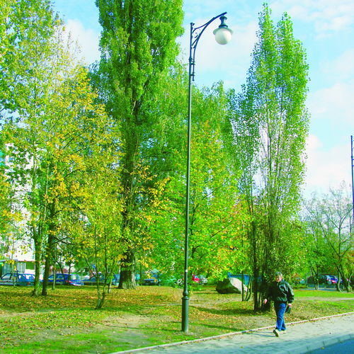 Straßenlaterne - ST3X/268 - F.P.H. Art Metal Sp.J. - klassisch / Aluminiumguss / Stahl