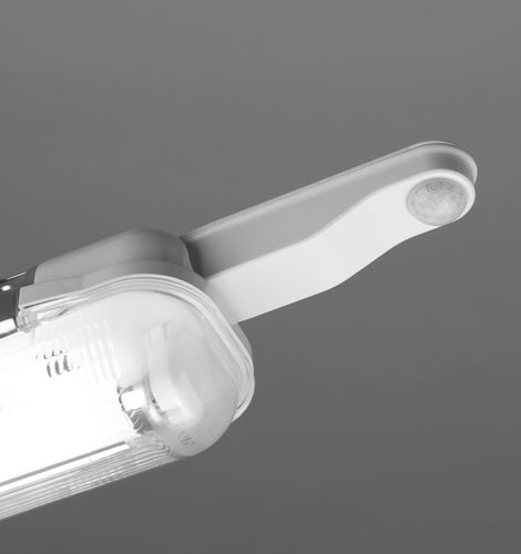 Präsenzmelder - EBMPIR-MB  - CP Electronics - für Außenbereich / Profi / weiß