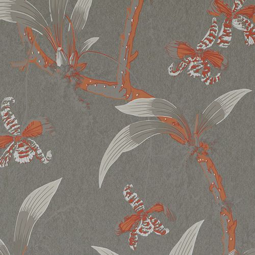 Moderne Tapete - TEMPLE OF DAWN : MANDARIN ORCHIDS - JIM THOMPSON - Blumenmotiv / Stoffoptik / grau
