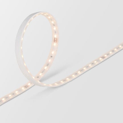 LED-Band - FTS5 40K-24V - Feelux