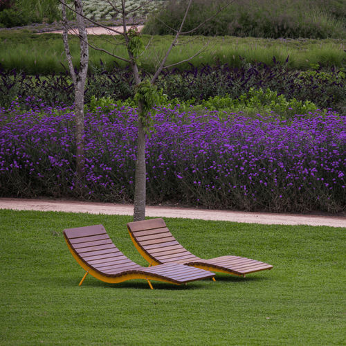 Moderne Sonnenliege - BOJON S - CITY DESIGN - Kiefer / Laubholz / galvanisiertem Stahl