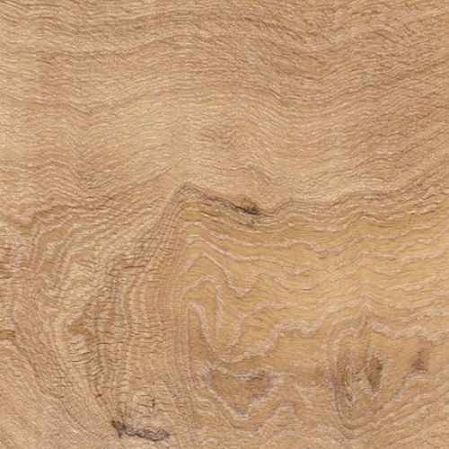 Eiche-Laminatboden - TRANSIT: QUERCIA ARTICA - GAZZOTTI spa - schwimmend / Holzoptik / für Privatgebrauch
