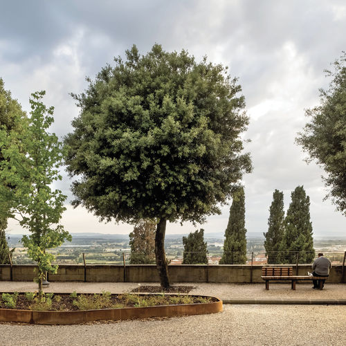 Randstein mit integrierter Bank - GRANDIFIORIERE - METALCO - für Garten / für Landschaftsgestaltung / Holz