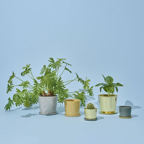 Keramik-Pflanzgefäß - BOTANICAL FAMILY - Hay a/s - Messing / freistehend / rund