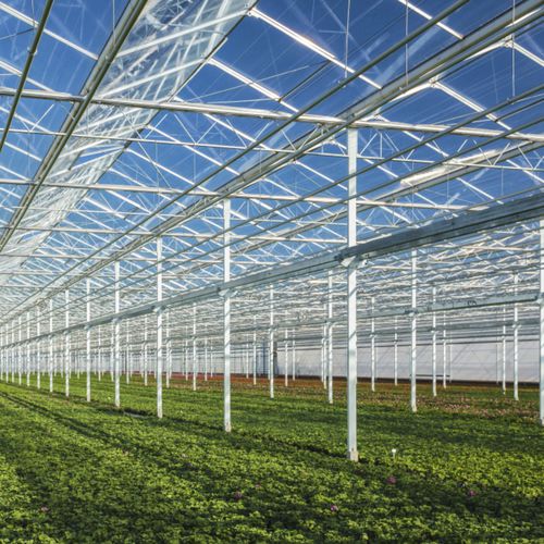 Sicherheitsglasscheibe - HORTICLEAN&trade; - PILKINGTON - Struktur / VSG / ESG Glas