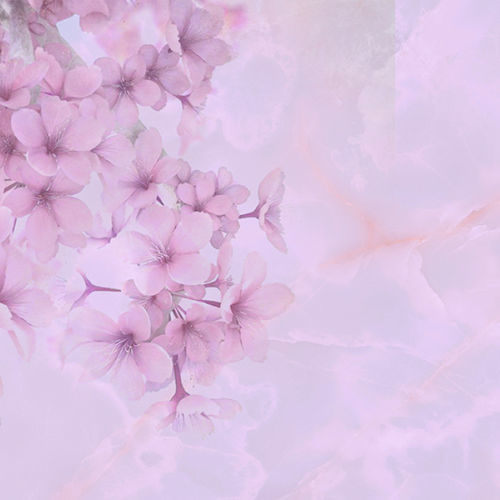 Moderne Tapete - BLOOM - Tonin Casa - Blumenmotiv / rosa / für Wohnbereich