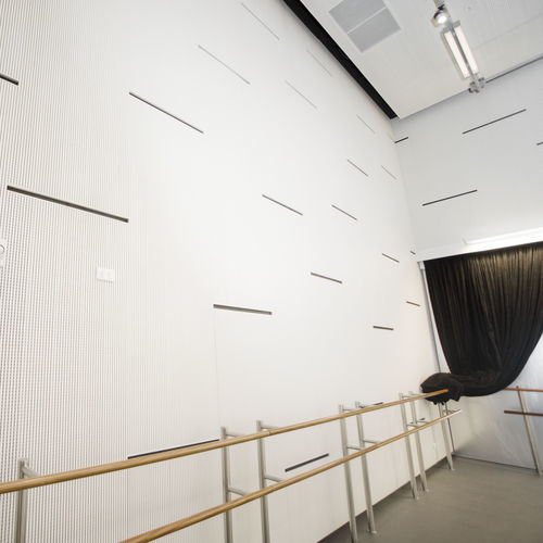 Akustik-Wandpaneel - PRO 11 - Ideatec Advanced Acoustic Solutions - für Decke / für Fassadenverkleidung / Holz