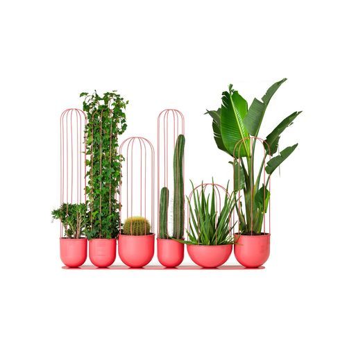 Aluminium-Pflanzkübel - Cacti - NOLA INDUSTRIER - pulverbeschichteter Stahl / modern / für öffentliche Bereiche