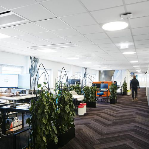Glaswolle-Zwischendecke - FOCUS™ A - Saint-Gobain Ecophon - aus Fliesen / für Büro / für den Innenraum