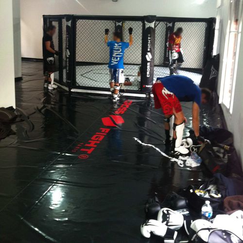 Ringermatte - MMA series - Modugame - MG Sport