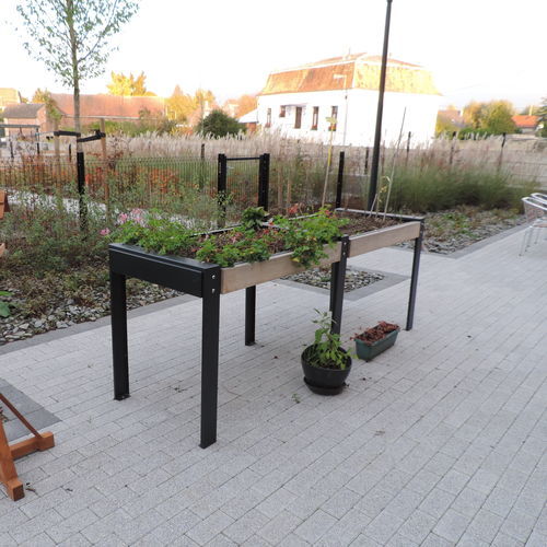 Pflanzkasten für Kräuter / Holz THERAPEUTICAL GROWING Euroform K