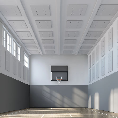 Schallschluckplatte für Decke - INDUSTRIAL GYM - Caimi Brevetti SpA - Polyester / rechteckig / für Innenausbau
