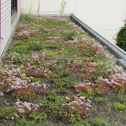 Sicherheits-Abdichtungsbahn - ROOFGARDEN - IKO - verstärkend / mit hoher Durchstoßfestigkeit / Wurzelsperre