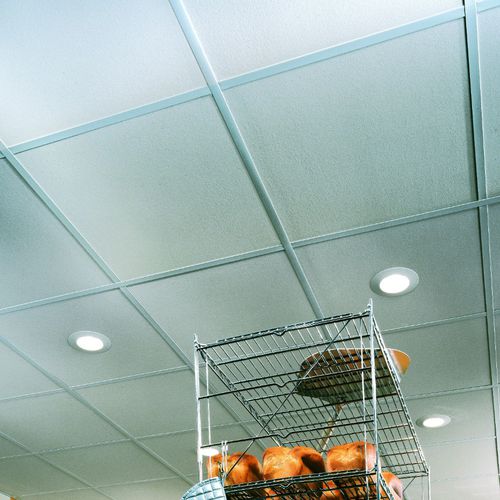 Vinyl-Zwischendecke - SHEETROCK® BRAND - USG - Gips / aus Fliesen / Platten
