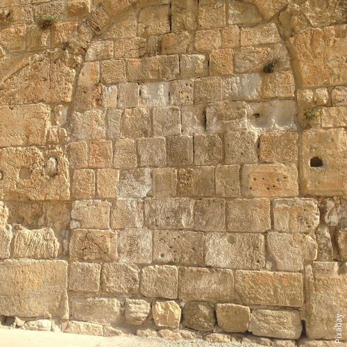 Kalkstein-Steinplatte - EILAT – JERUSALEM - CREA STONE - für Fußboden / für Wand / gebürstet