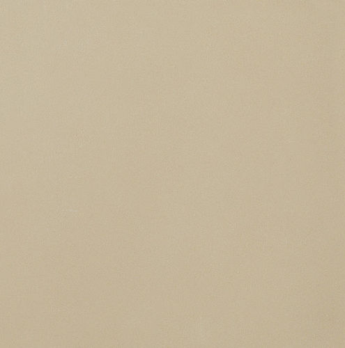 Feinsteinzeugfliesen - STANDARD : UNI BLANC CRÈME - Novoceram sas - matt / für den Innenraum / bodenstehend