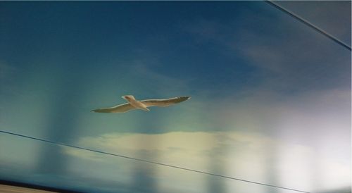 Segeltuch-Spanndecke - IMAGE PRINTING - VINYL - Stretch Ceilings - bedruckt / Dekor