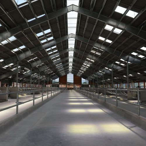 Stahlstruktur für Industriegebäude - PRE-ENGINEERED - ASTRON - galvanisiertem Stahl