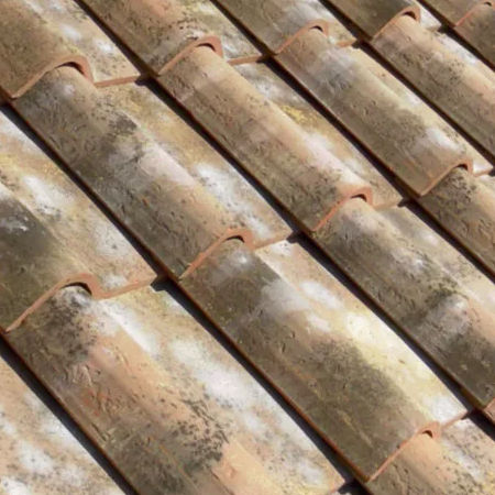 Imbrex-Dachziegel - VERNACCIA / RISERVA - SOLAVA - Ton / Großformat
