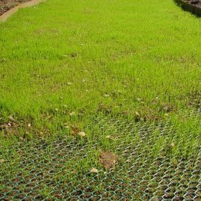 Verstärkendes Geogitter - TURFPROTECTA - TERRAM