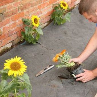 Vlies-Geotextil - WEEDGUARD - TERRAM - Kunststoff / Kunststoff / zur Filtrierung
