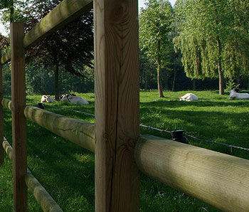 Zaunpfosten - RURAL - Collstrop Garden